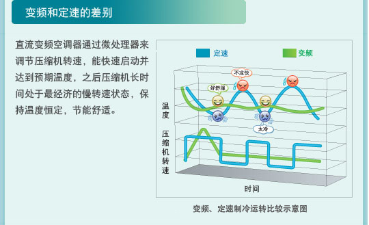 蜜桃精品成人影片特性